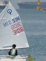 SIN 3106